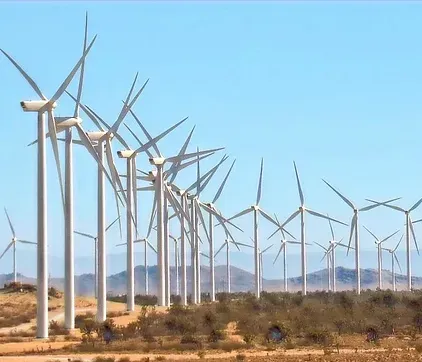 A field with many wind turbines in the background.