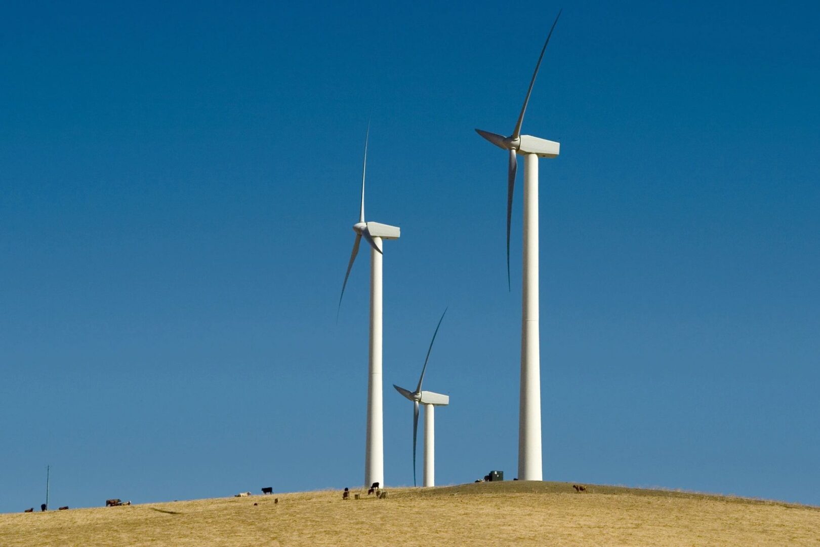 A group of wind turbines on top of a hill.