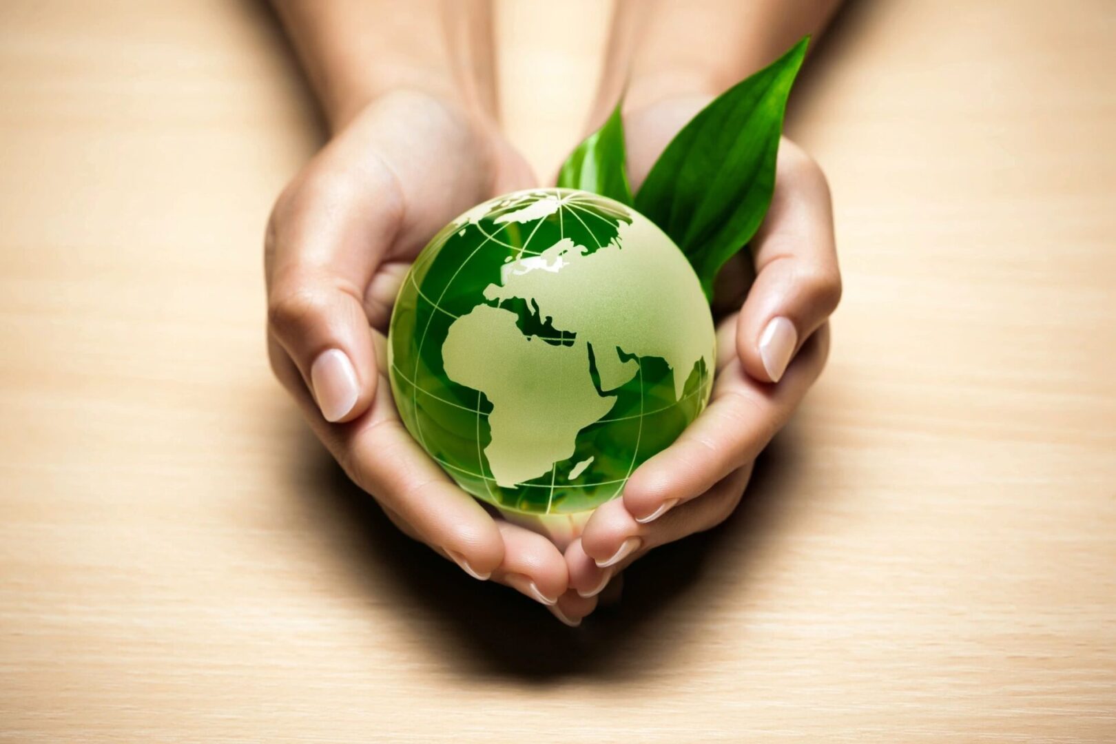 A person holding a green globe with leaves in their hands.