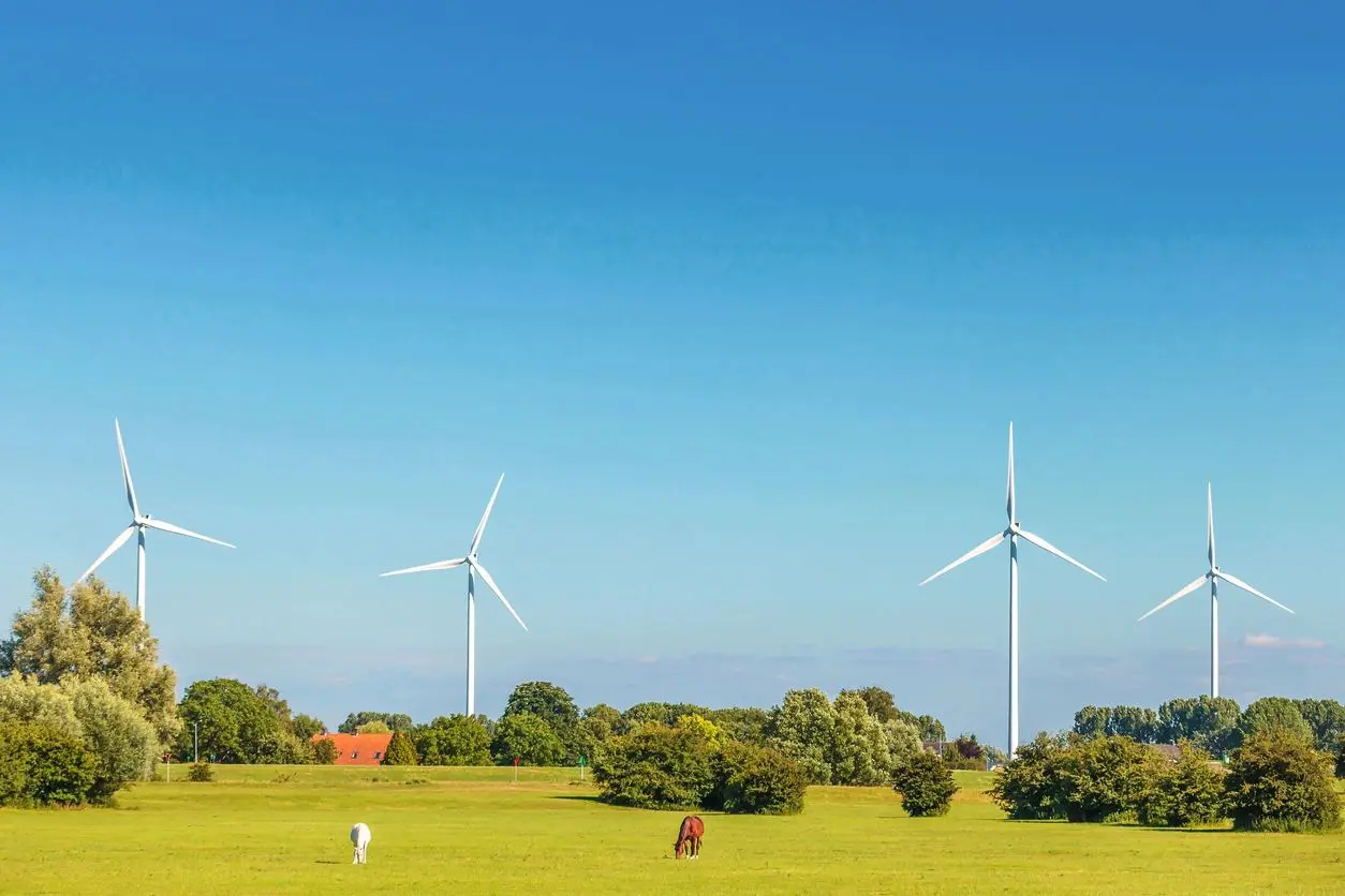 Two wind turbines in a field with trees and blue sky.